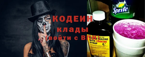 гашик Карпинск