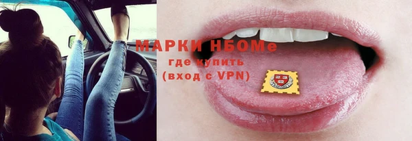 гашик Карпинск