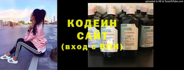 гашик Карпинск