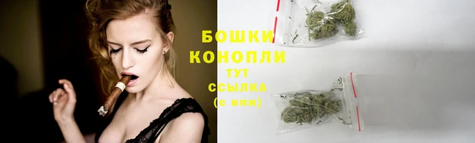 гашик Карпинск