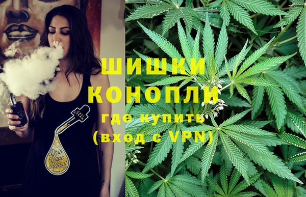 ПСИЛОЦИБИНОВЫЕ ГРИБЫ Карталы