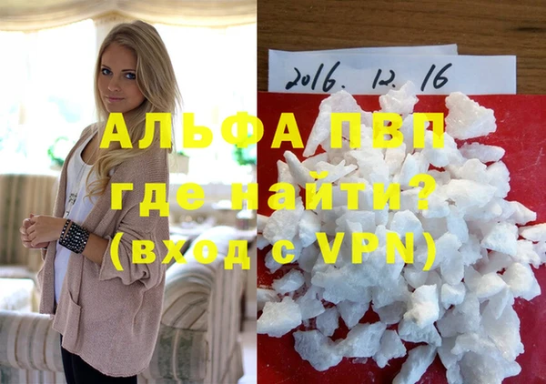 гашик Карпинск