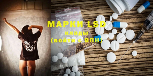 гашик Карпинск