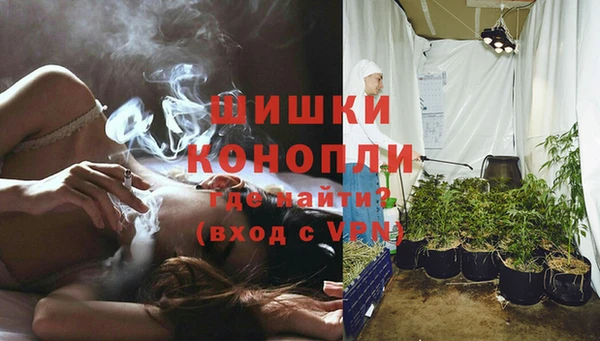 дмт Касимов