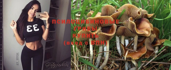 гашик Карпинск