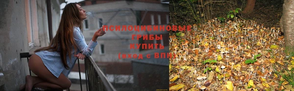 ПСИЛОЦИБИНОВЫЕ ГРИБЫ Карталы