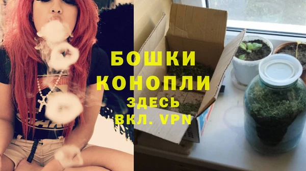 ПСИЛОЦИБИНОВЫЕ ГРИБЫ Карталы