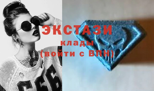 гашик Карпинск