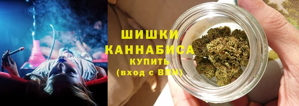 дмт Касимов