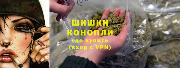 ПСИЛОЦИБИНОВЫЕ ГРИБЫ Карталы