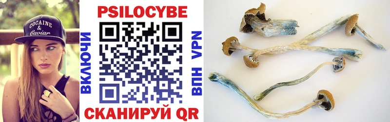Купить где  Славгород  Псилоцибиновые грибы MAGIC MUSHROOMS 